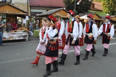 18. Dożynki Województwa Małopolskiego - korowód dożynkowy - miechowski.pl