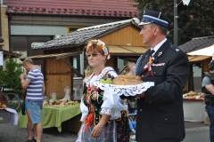 18. Dożynki Województwa Małopolskiego - korowód dożynkowy - miechowski.pl