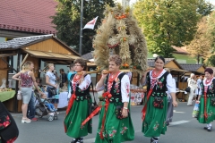 18. Dożynki Województwa Małopolskiego - korowód dożynkowy - miechowski.pl