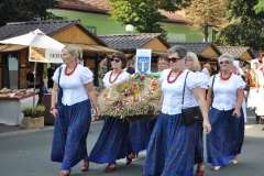 18. Dożynki Województwa Małopolskiego - korowód dożynkowy - miechowski.pl