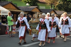 18. Dożynki Województwa Małopolskiego - korowód dożynkowy - miechowski.pl