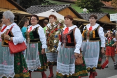 18. Dożynki Województwa Małopolskiego - korowód dożynkowy - miechowski.pl