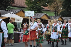 18. Dożynki Województwa Małopolskiego - korowód dożynkowy - miechowski.pl