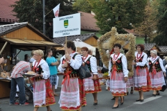 18. Dożynki Województwa Małopolskiego - korowód dożynkowy - miechowski.pl