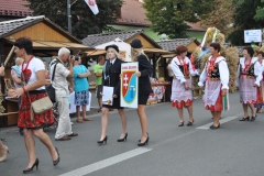 18. Dożynki Województwa Małopolskiego - korowód dożynkowy - miechowski.pl