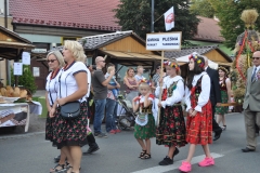 18. Dożynki Województwa Małopolskiego - korowód dożynkowy - miechowski.pl