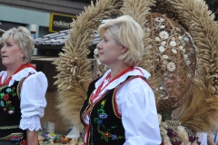 18. Dożynki Województwa Małopolskiego - korowód dożynkowy - miechowski.pl