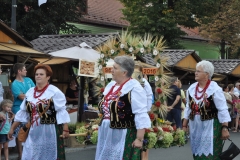 18. Dożynki Województwa Małopolskiego - korowód dożynkowy - miechowski.pl