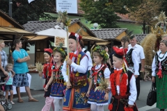 18. Dożynki Województwa Małopolskiego - korowód dożynkowy - miechowski.pl