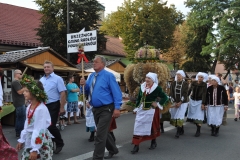18. Dożynki Województwa Małopolskiego - korowód dożynkowy - miechowski.pl