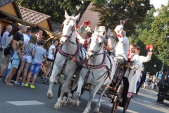18. Dożynki Województwa Małopolskiego - korowód dożynkowy - miechowski.pl
