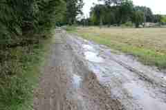 Drogi-do-pol-Gmina-Miechow-05