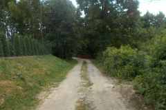 DSCN6924