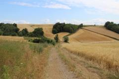 IMG_9869