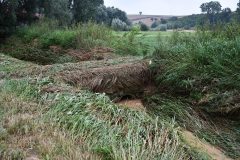 2020-08-19-droga-w-Witowicach