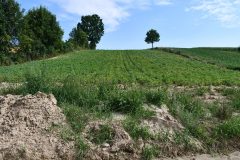 Niewłaściwa gospodarka na polach jedną z głównych przyczyn powstawania namulisk