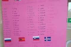 22375370_1774631185901436_1083468625_o