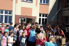 18987511_855410567945249_1828236306_o