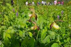 SP-Antolka-Dzien-Dziecka-02