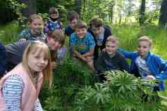 SP-Antolka-Dzien-Dziecka-09