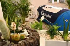 Gabinet tlenoterapii - Miechów ul. Piłsudskiego 10B