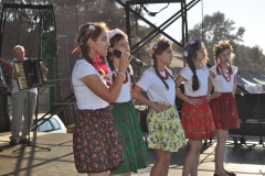 Reprezentacja gminy Kozłów na Dożynkach Powiatowych - miechowski.pl