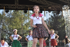 Reprezentacja gminy Kozłów na Dożynkach Powiatowych - miechowski.pl