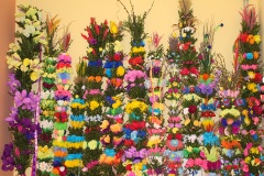 Golcza-Palmy-2022_01