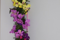 Golcza-Palmy-2022_05