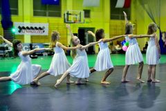 50832881_391085921696275_1598760919775576064_n