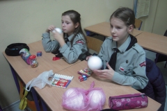 DSCN6729