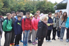 Harcerski Start w lesie w Tunelu - miechowski.pl - fot. K. Capiga