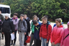 Harcerski Start w lesie w Tunelu - miechowski.pl - fot. K. Capiga