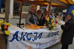 IV Małopolski Jarmark Wielkanocny - Miechów 2017 - fot. K. Capiga
