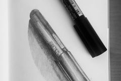 rys. Kamila Światły