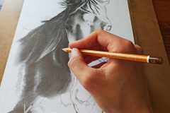 Portret konia - rys. Kamila Światły