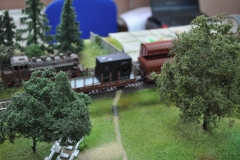 "Stacja Biblioteka" - wystawa modeli kolejek w Kozłowie - fot. K. Capiga - miechowski.pl