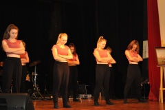 Koncert charytatywny na rzecz Bożeny Zdechlik - miechowski.pl - fot. K. Capiga