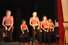 Koncert charytatywny na rzecz Bożeny Zdechlik - miechowski.pl - fot. K. Capiga