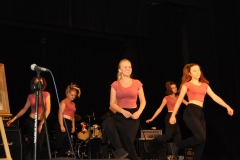 Koncert charytatywny na rzecz Bożeny Zdechlik - miechowski.pl - fot. K. Capiga