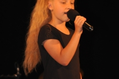 Koncert charytatywny na rzecz Bożeny Zdechlik - miechowski.pl - fot. K. Capiga
