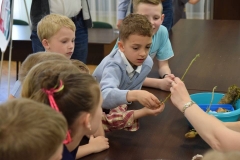 18697973_1459951490692096_5797990105788935912_n