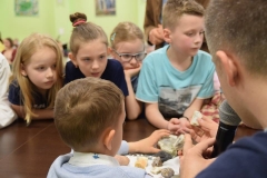 18698464_1459951580692087_440190091482708226_n