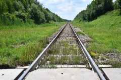 2020-07-04-Adamczyk-LHS-05