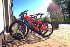 IMG_1868-1