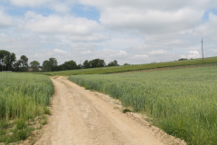 Fundusz Sołecki w gminie Miechów - przykładowe zadanie - miechowski.pl