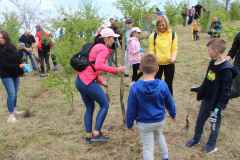 Miechow-sadzenie-lasu-2022-07