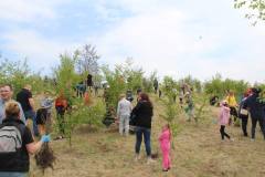 Miechow-sadzenie-lasu-2022-08