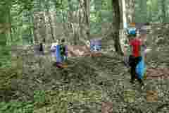 Miechow-sprzata-zielona-malopolske-02