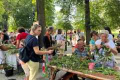 Miechow-wianki-2022-02